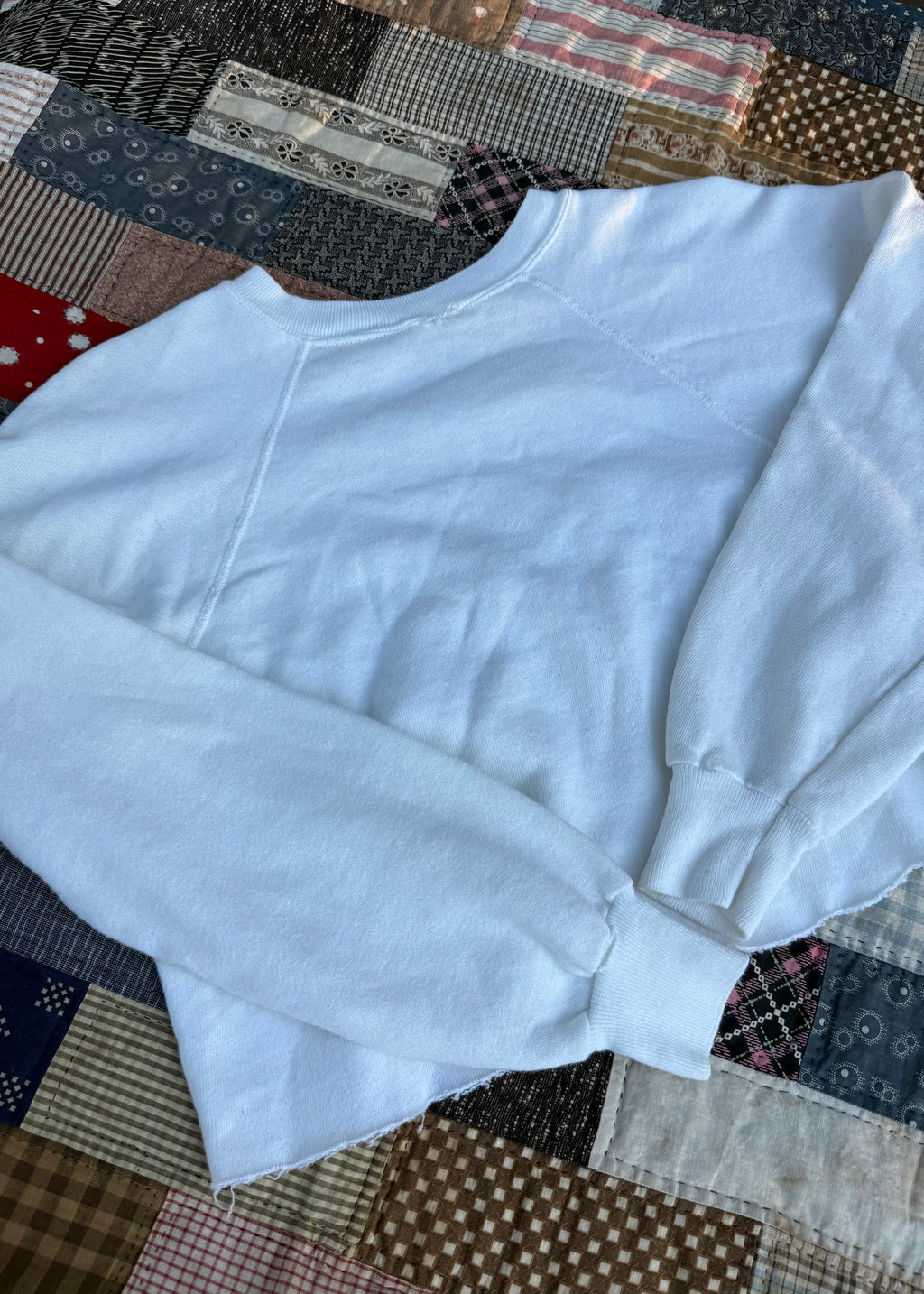 1980s ‘Hail Hail’ family cropped sweatshirt